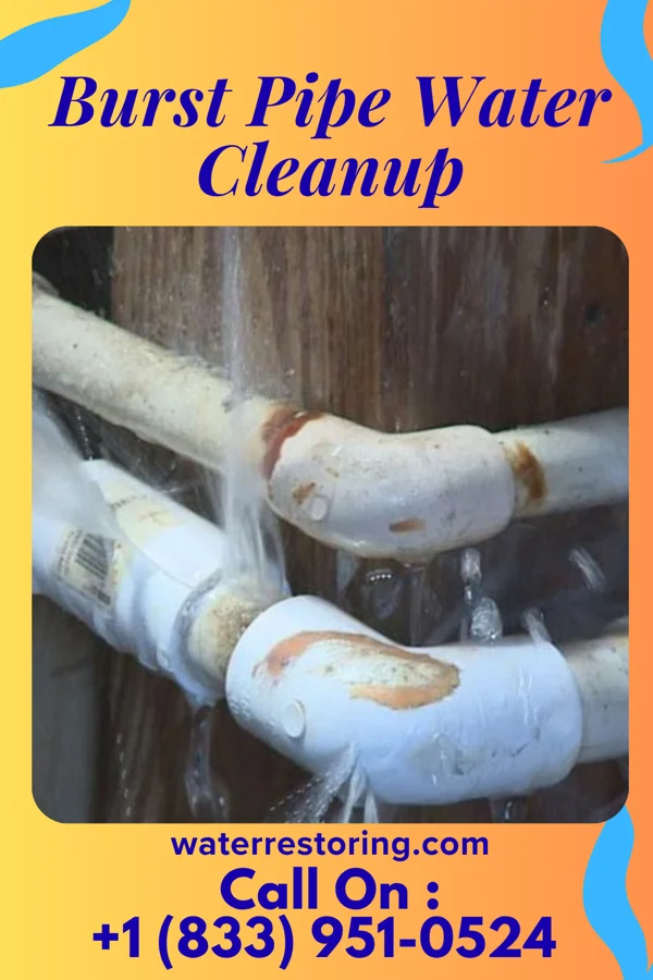 Burst Pipe Water Cleanup in Ravenswood, WV