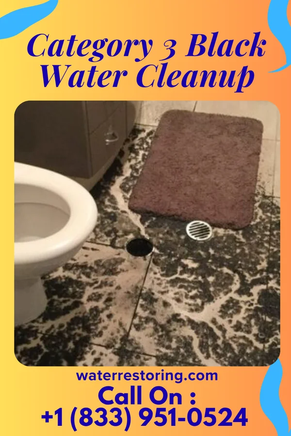Category 3 Black Water Cleanup in Ravenswood, WV