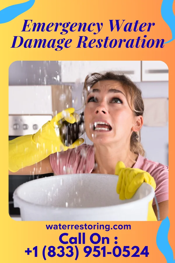 Emergency Water Damage Restoration in Ravenswood, WV