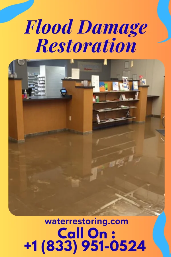 Flood Damage Restoration in Ravenswood, WV