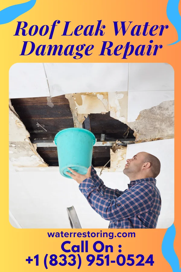 Roof Leak Water Damage Repair in Ravenswood, WV