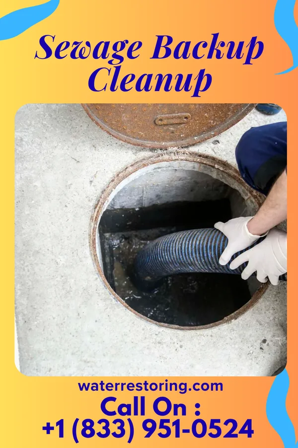 Sewage Backup Cleanup in Ravenswood, WV