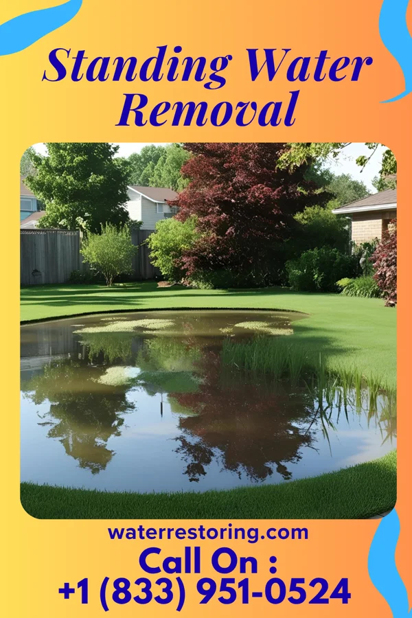 Standing Water Removal in Ravenswood, WV